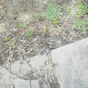 Meet your Posher, Leala